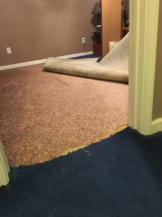 Carpet pad removal revealing water damage during Drying & Dehumidification in Royal Palm Beach