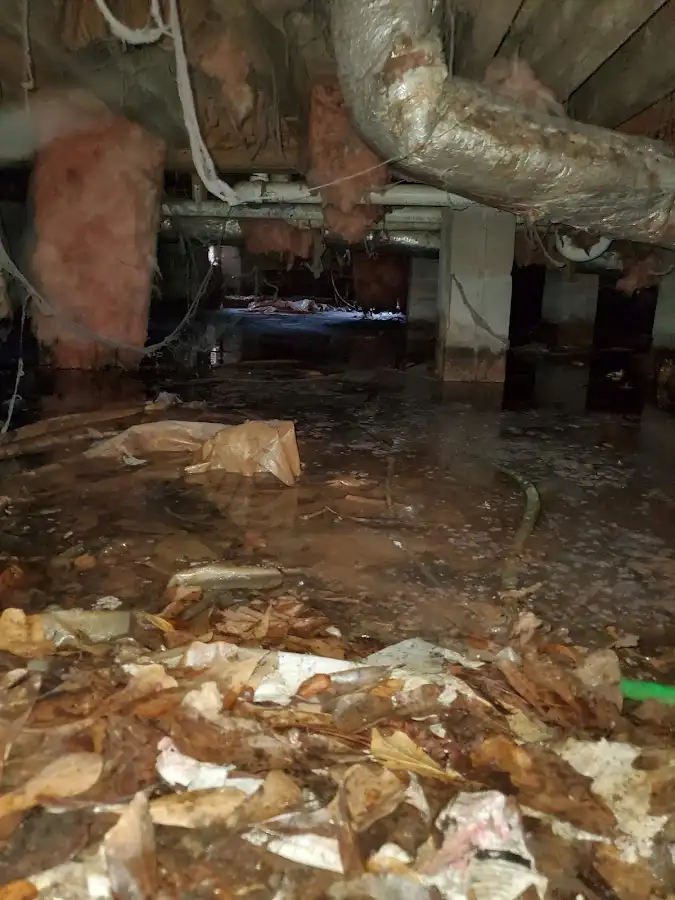 Crawl space flood assessment for Leak Detection & Repair in Royal Palm Beach