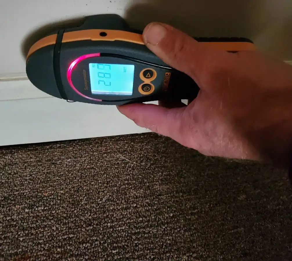 Moisture detection at baseboard during Storm Damage Restoration in Royal Palm Beach
